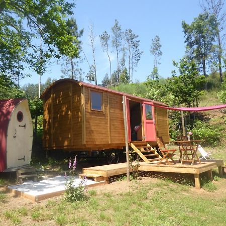 Rosa The Cosy Cabin - Gypsy Wagon - Shepherds Hut, River Views Off-Grid Eco Living Педроган Гранди Екстериор снимка