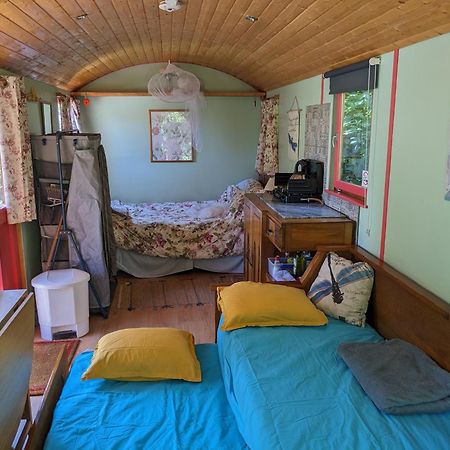 Rosa The Cosy Cabin - Gypsy Wagon - Shepherds Hut, River Views Off-Grid Eco Living Педроган Гранди Екстериор снимка
