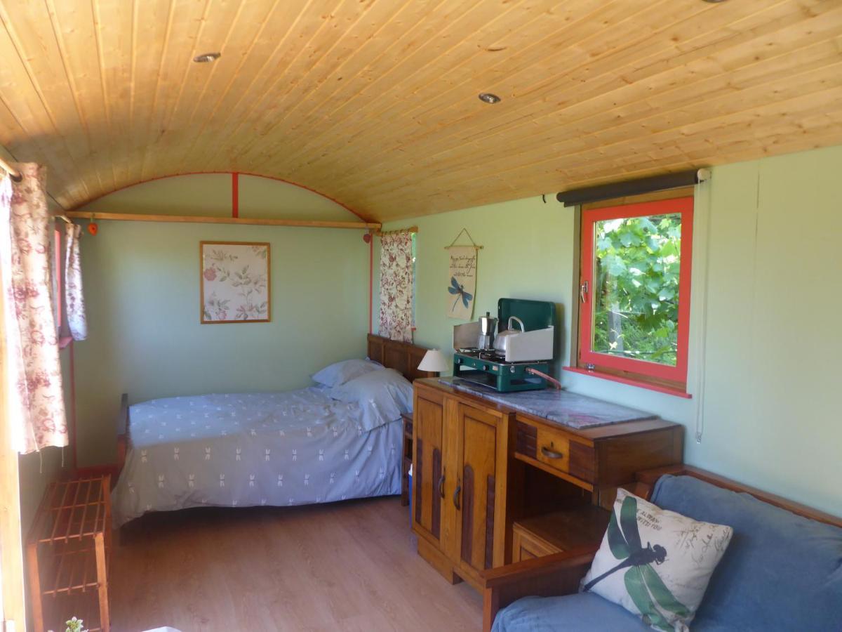 Rosa The Cosy Cabin - Gypsy Wagon - Shepherds Hut, River Views Off-Grid Eco Living Педроган Гранди Екстериор снимка