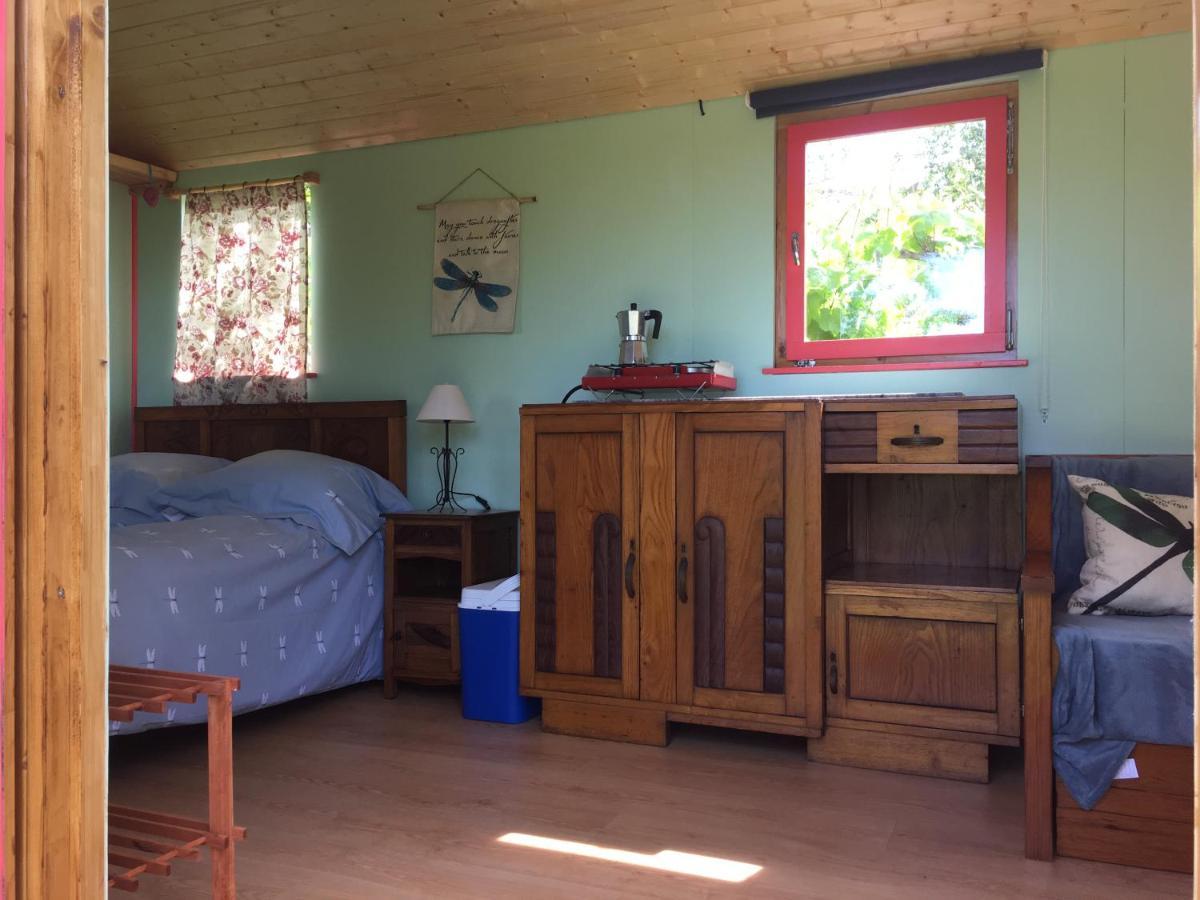 Rosa The Cosy Cabin - Gypsy Wagon - Shepherds Hut, River Views Off-Grid Eco Living Педроган Гранди Екстериор снимка