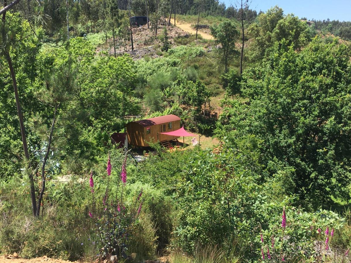 Rosa The Cosy Cabin - Gypsy Wagon - Shepherds Hut, River Views Off-Grid Eco Living Педроган Гранди Екстериор снимка