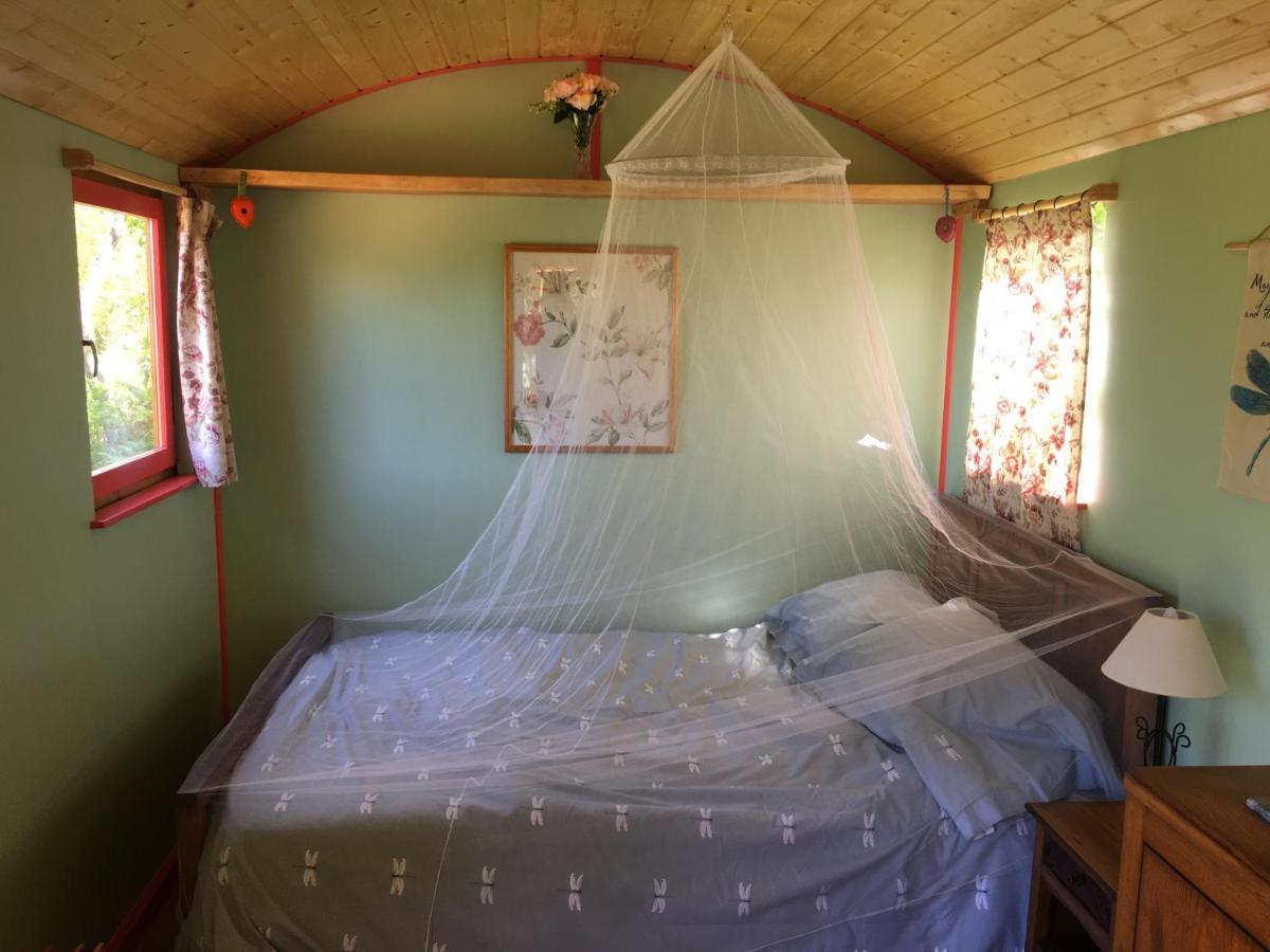 Rosa The Cosy Cabin - Gypsy Wagon - Shepherds Hut, River Views Off-Grid Eco Living Педроган Гранди Екстериор снимка