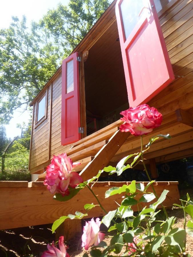 Rosa The Cosy Cabin - Gypsy Wagon - Shepherds Hut, River Views Off-Grid Eco Living Педроган Гранди Екстериор снимка