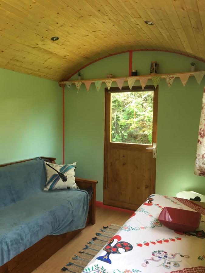 Rosa The Cosy Cabin - Gypsy Wagon - Shepherds Hut, River Views Off-Grid Eco Living Педроган Гранди Екстериор снимка