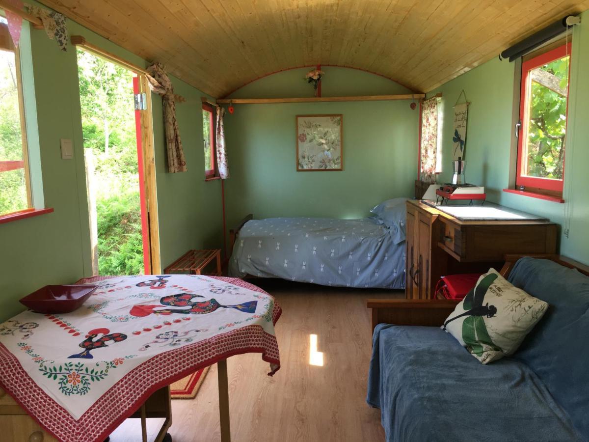 Rosa The Cosy Cabin - Gypsy Wagon - Shepherds Hut, River Views Off-Grid Eco Living Педроган Гранди Екстериор снимка